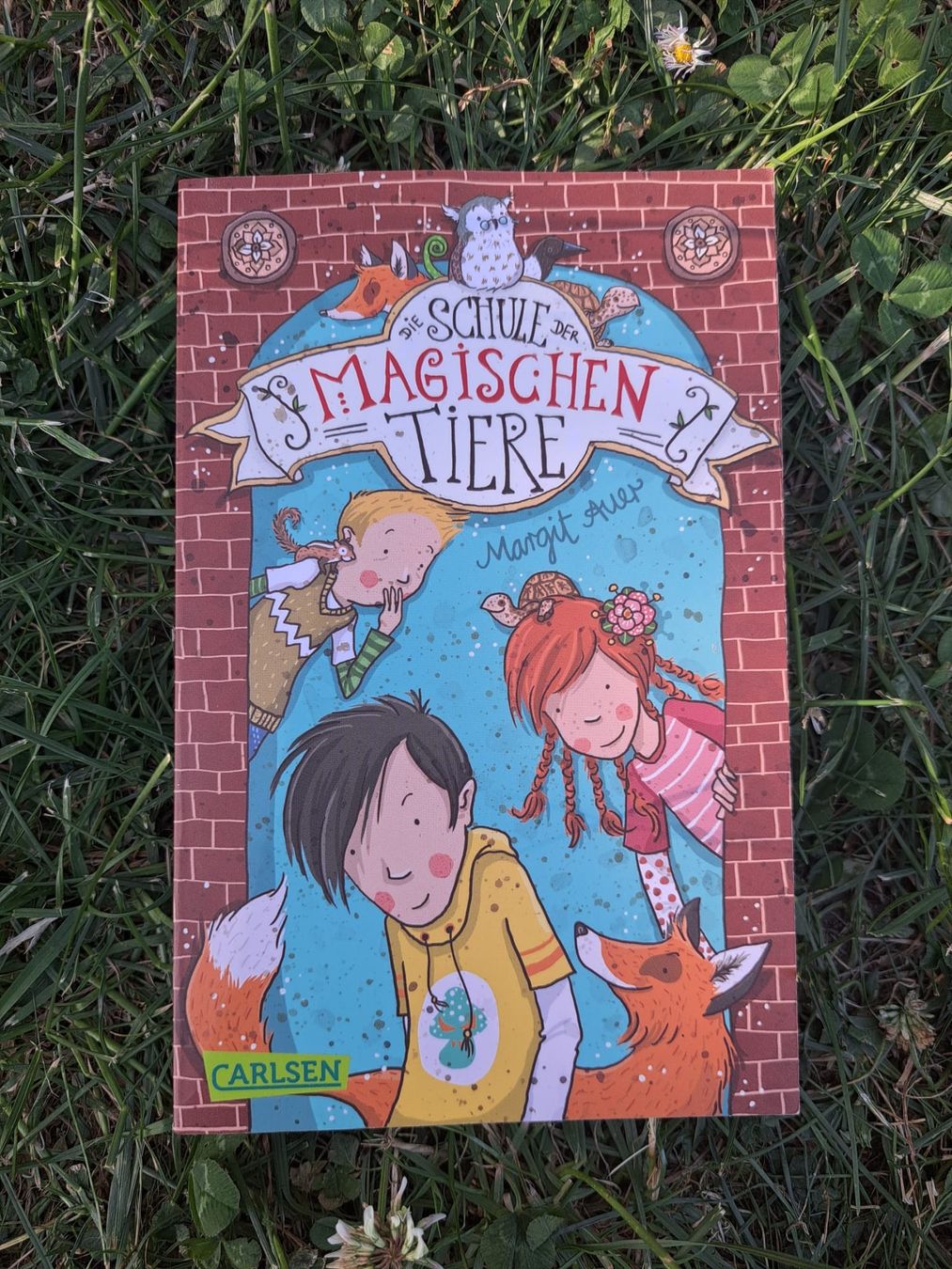 Livres: Schule der magischen Tiere – D'occasion à Dachsen par Mickymausi