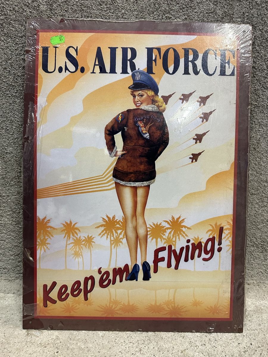 Insegne: Us air force pin up – Usato da Reinach AG venduto da rares75