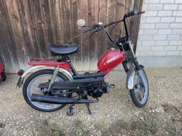 Pony GTX