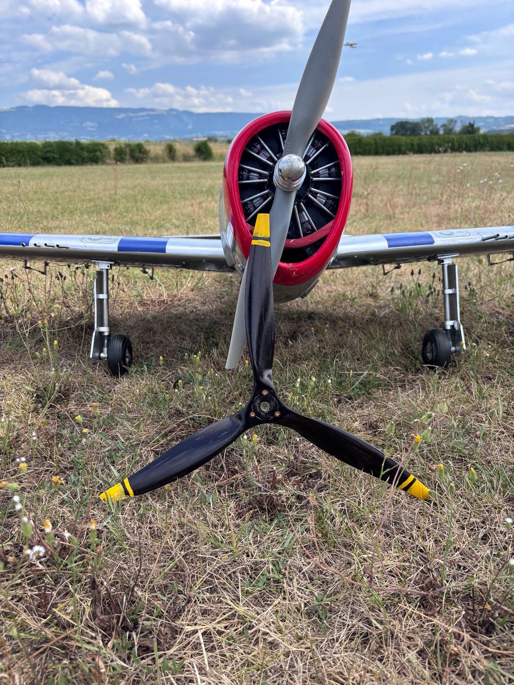 RC Modellbau: P47 Thuderbolt Phœnix 164 cm envergure – Gebraucht aus Genève von Sabgoblin 6