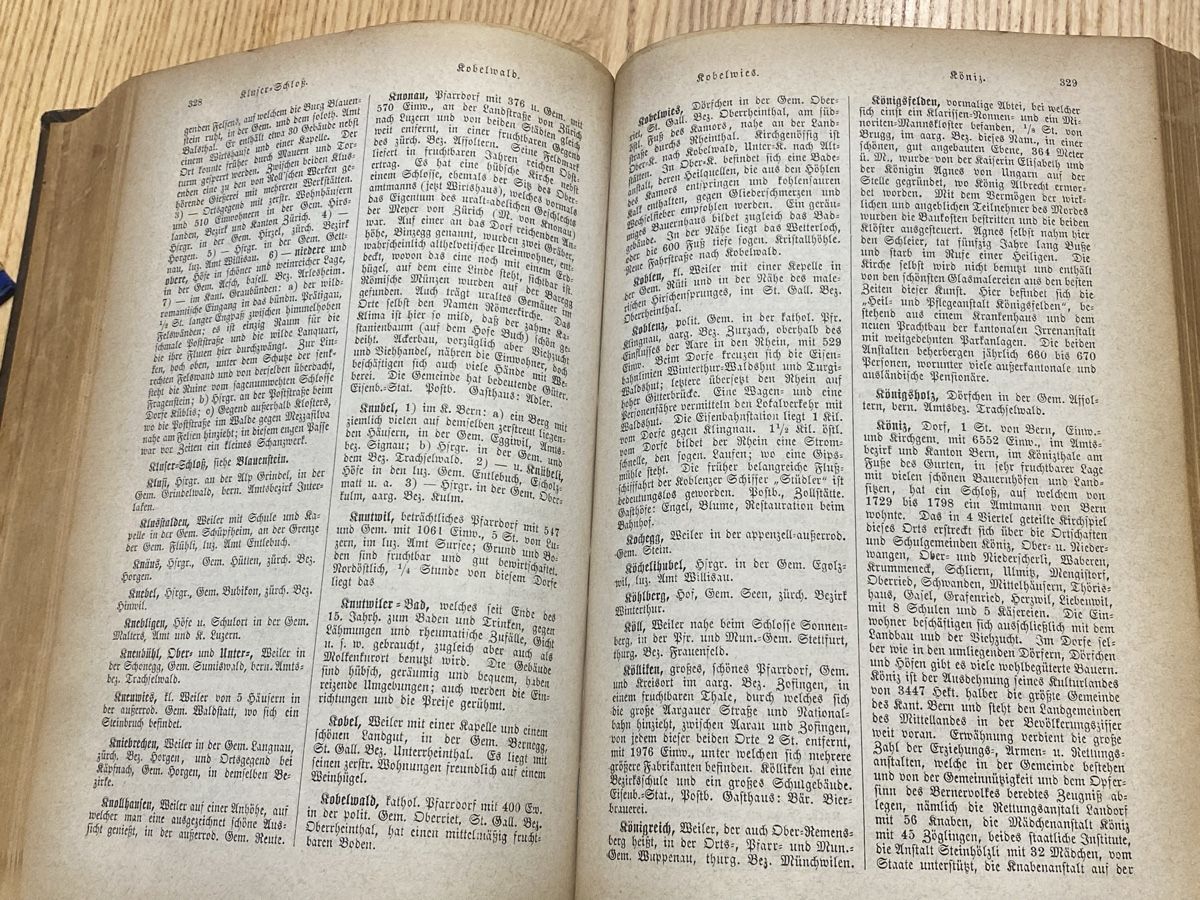 Libri: Ortslexikon Schweiz 1887 – Usato da Mosnang venduto da Goldwasser 2