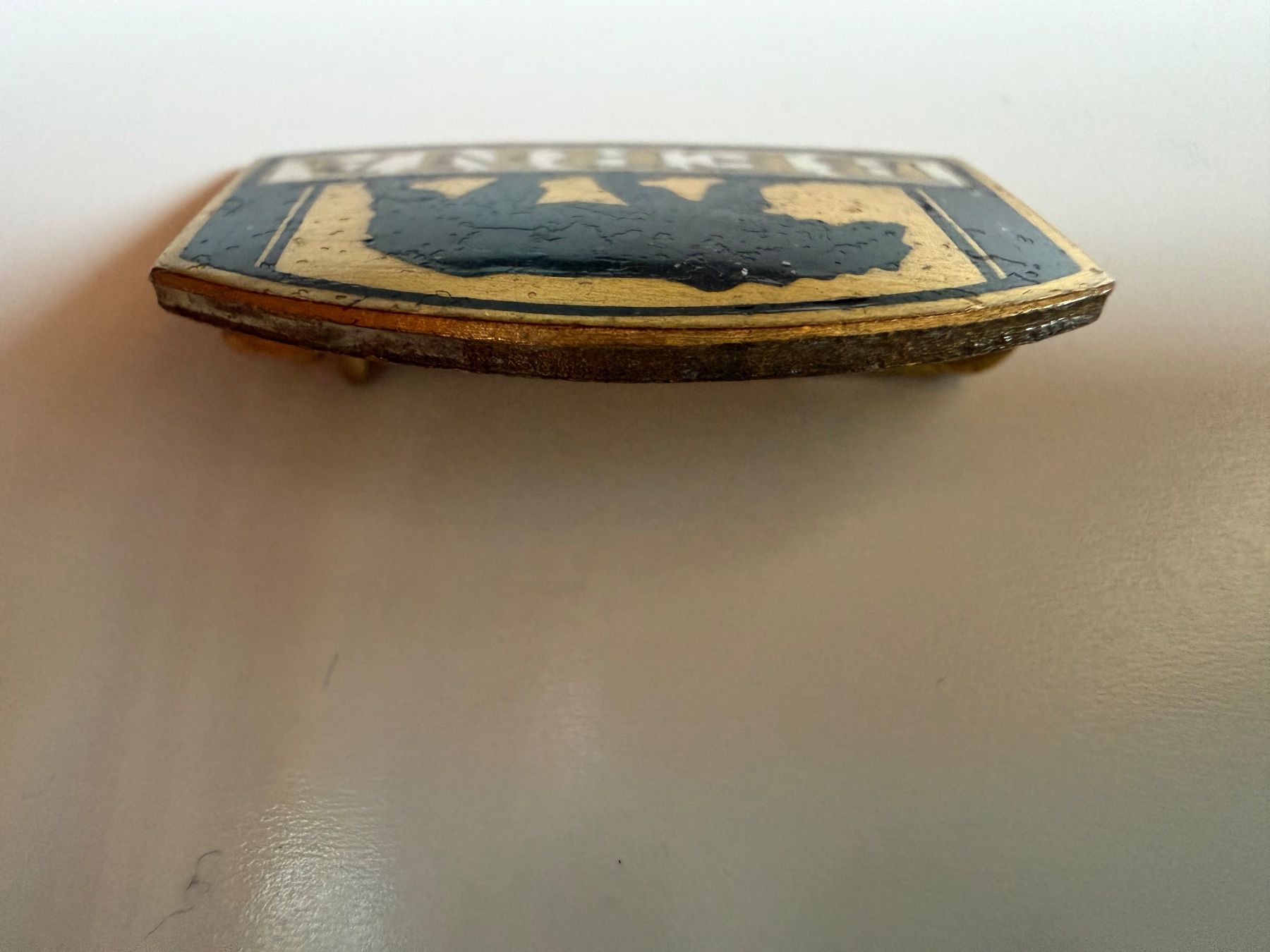 Placchette & Badge: Anstecker Pin BERNA – Usato da Winterthur venduto da calocephalus 3