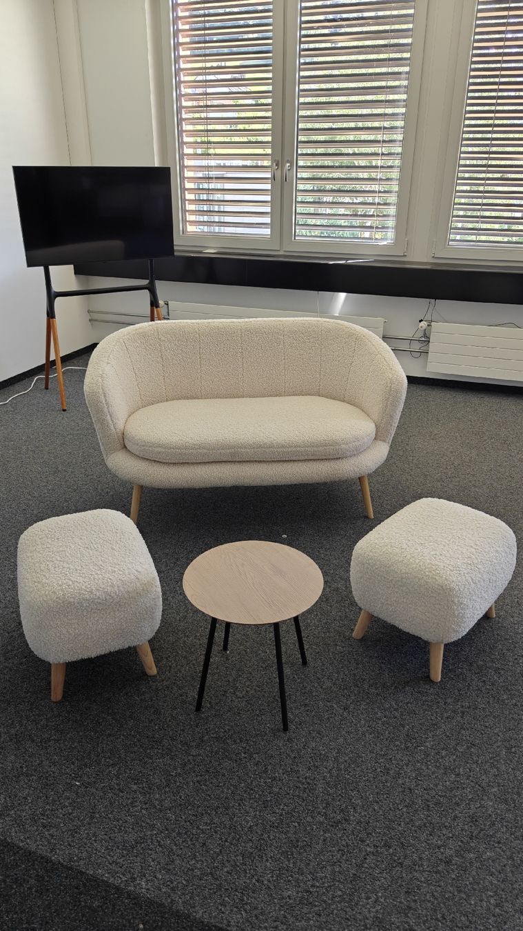 Divani: Gistrup 2 sitze sofa set – Usato da Bäretswil venduto da srobots