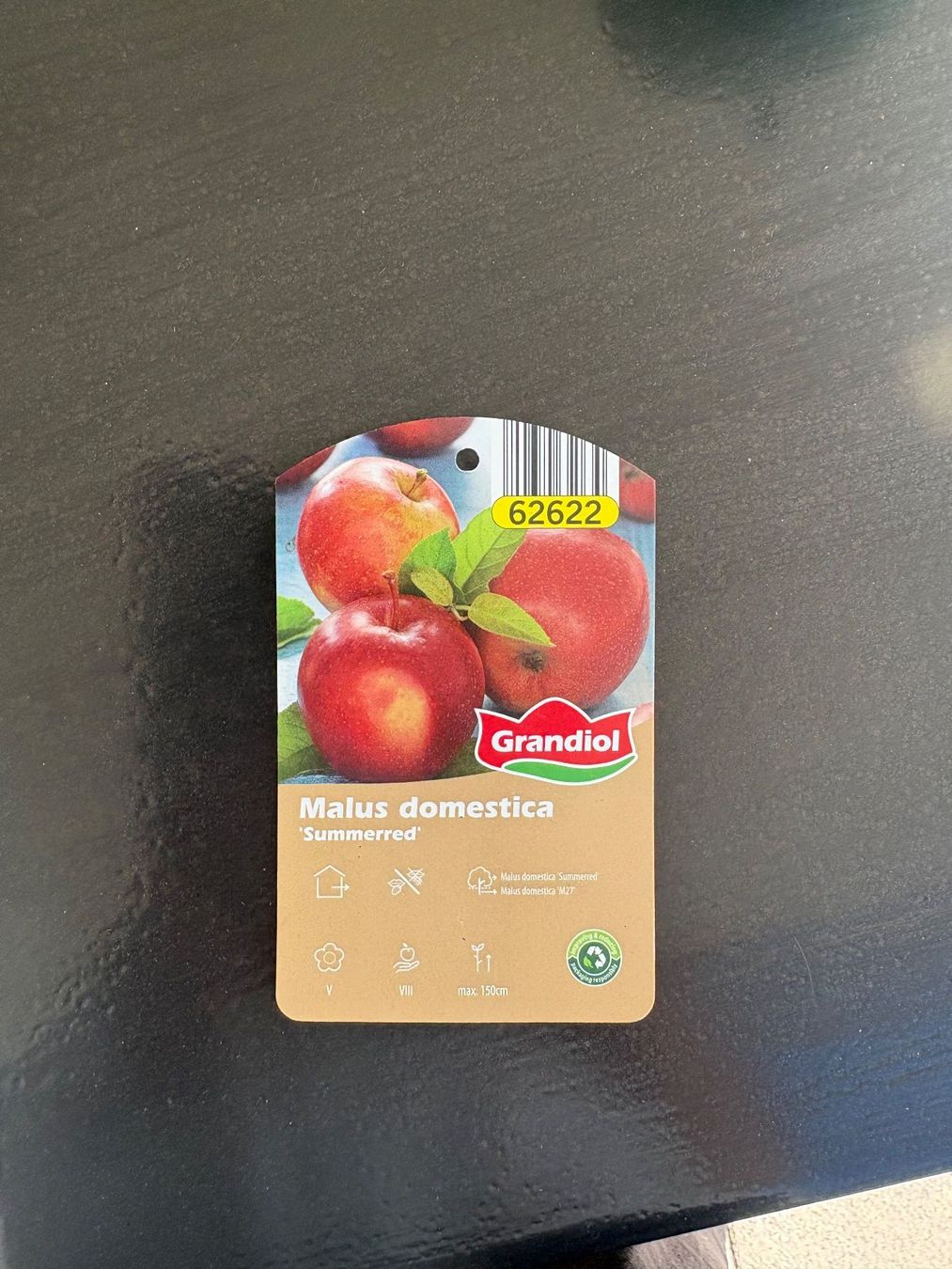 Plantes & graines: Schnäppchen, BIO  Apfelbaum - Summerred – D'occasion à Männedorf par Vespi012 3