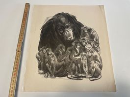 Lithografie Paul Jouve (1875–1973)