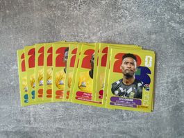Panini RSA Bilder zum auswählen Preis pro Bild
