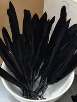 Tüte schwarze Federn, ca 10- 14 cm