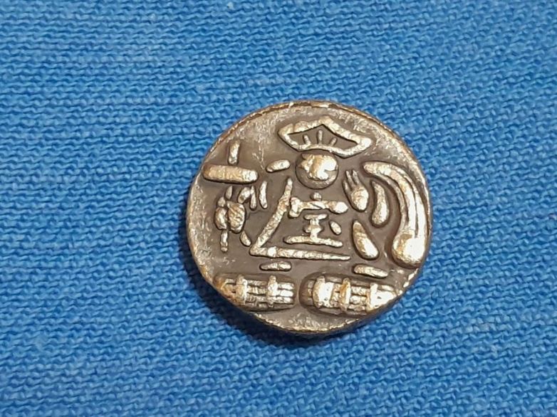 Tutti le monete: Unbekannte Münze oder Medaille, 4g – Nuovo e nell'imballaggio originale da Aarau venduto da Reto_BA_01
