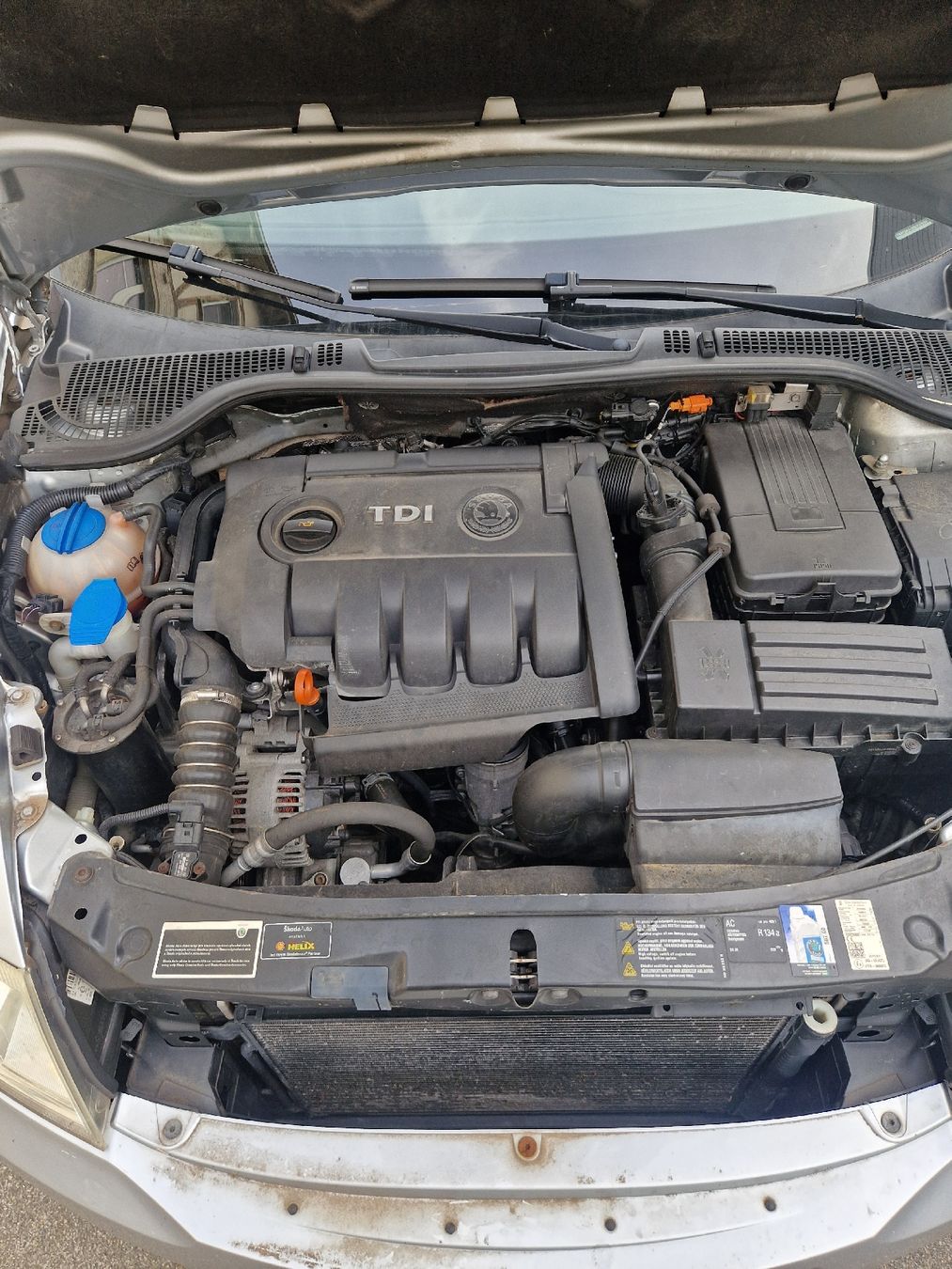 Skoda Automobili: Skoda Octavia C 1.9 4x4 – Usato da Brunnadern venduto da Landolt66 7