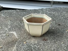 Bonsai Schale ab Fr. 1.—