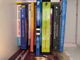 Systemische Therapie Praxis Lehrbuch guter Zustand