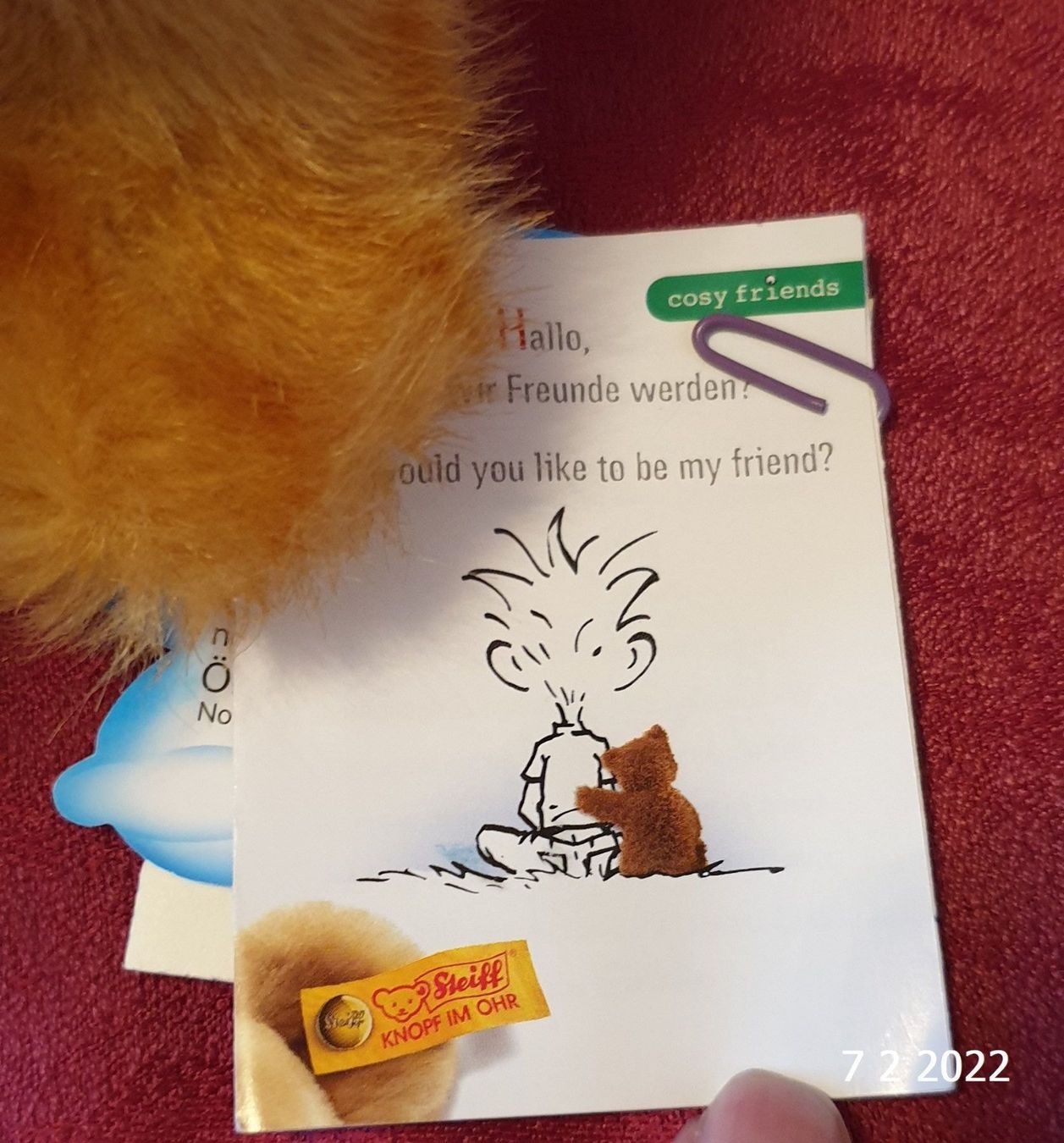 Steiff Giocattoli: Steiff Kitty Katze 074943 – Nuovo (secondo la descrizione) da Basel venduto da The_Onliners 2