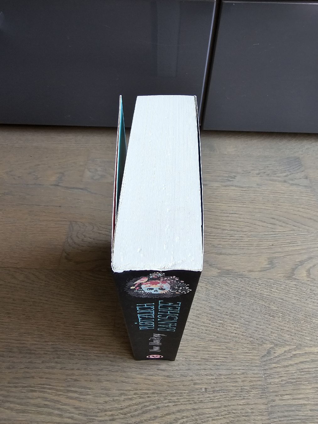 Bücher: Plötzlich Banshee - Nina MacKay – Gebraucht aus Hinterforst von impatiently 3