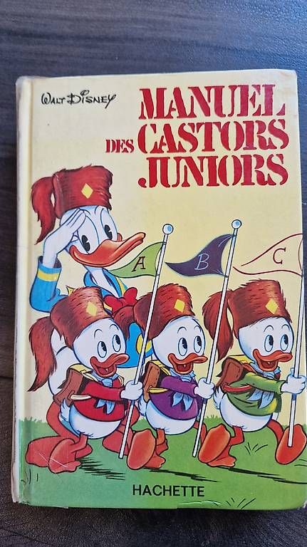 Libri: Manuel des castors Junior – Usato da Ste-Croix venduto da Sporchet 1