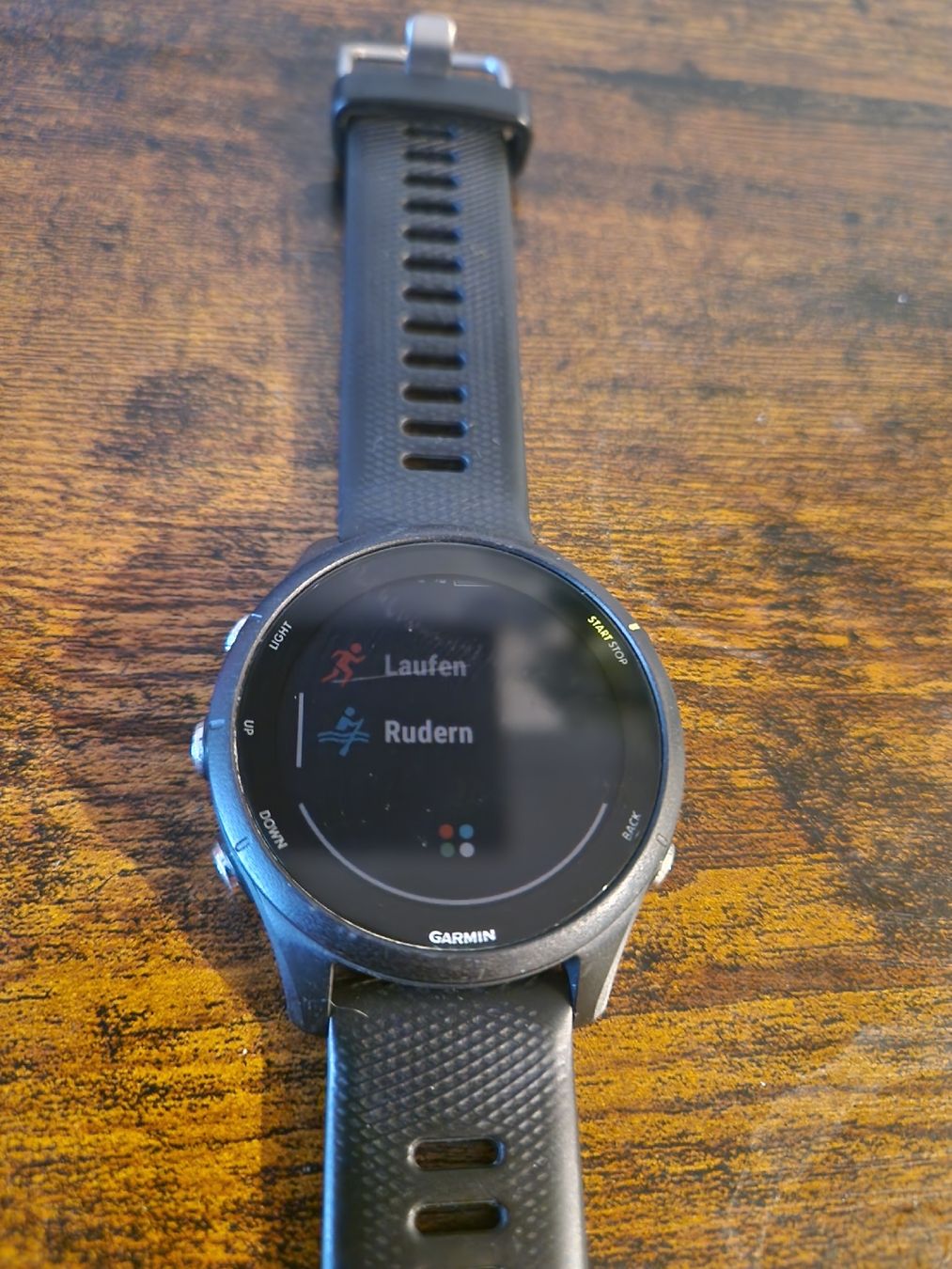 Garmin Smartwatch: Garmin Forerunner 255 music – Usato da Zürich venduto da ng142 1