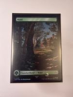 MTG -Assas. Creed (ACR)- Karte: Full-Art Land Wald Foil