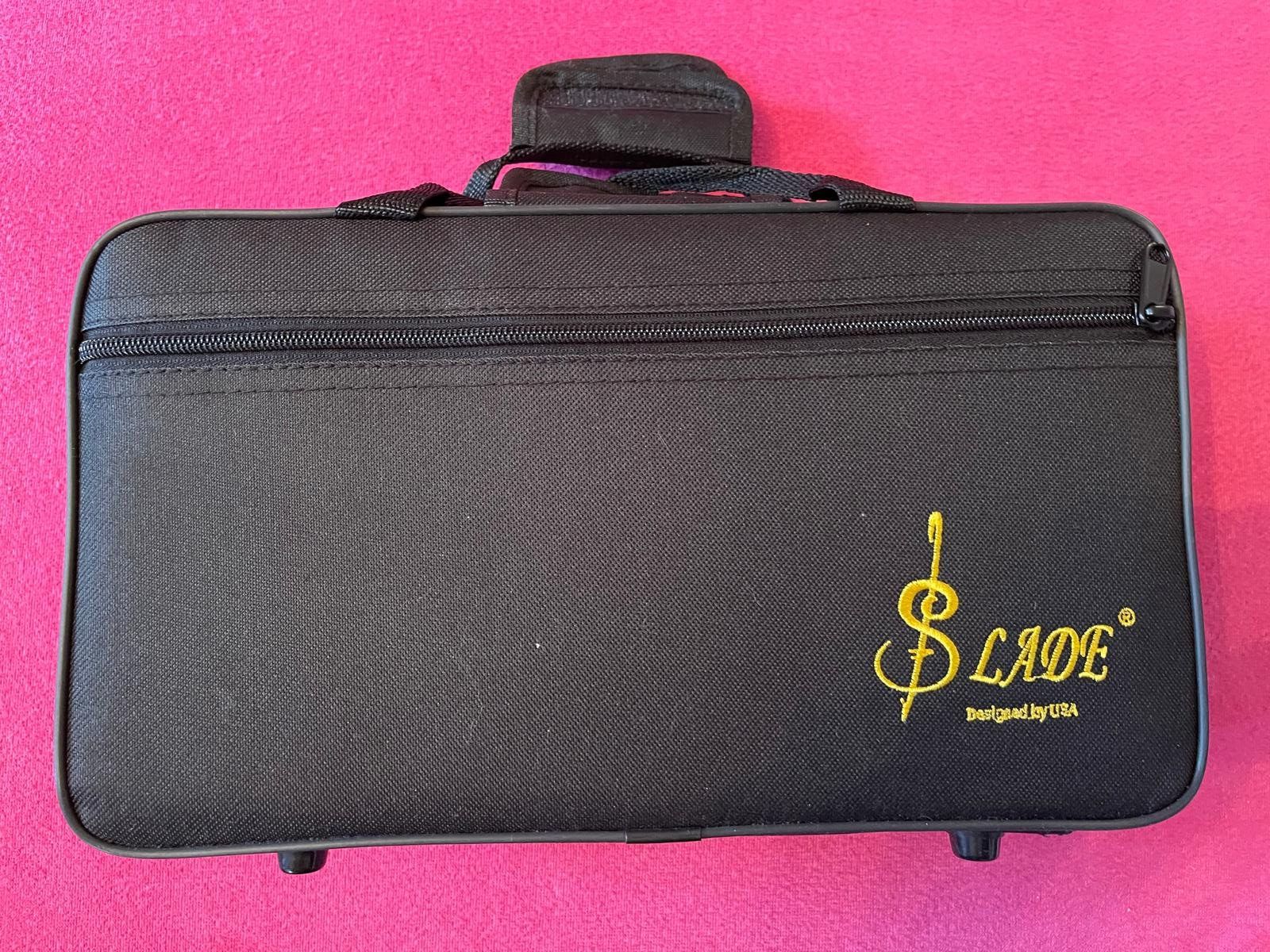Strumenti musicali: Klarinette violette - ganz neu und wunderschön – Nuovo e nell'imballaggio originale da Villnachern venduto da Durot 3