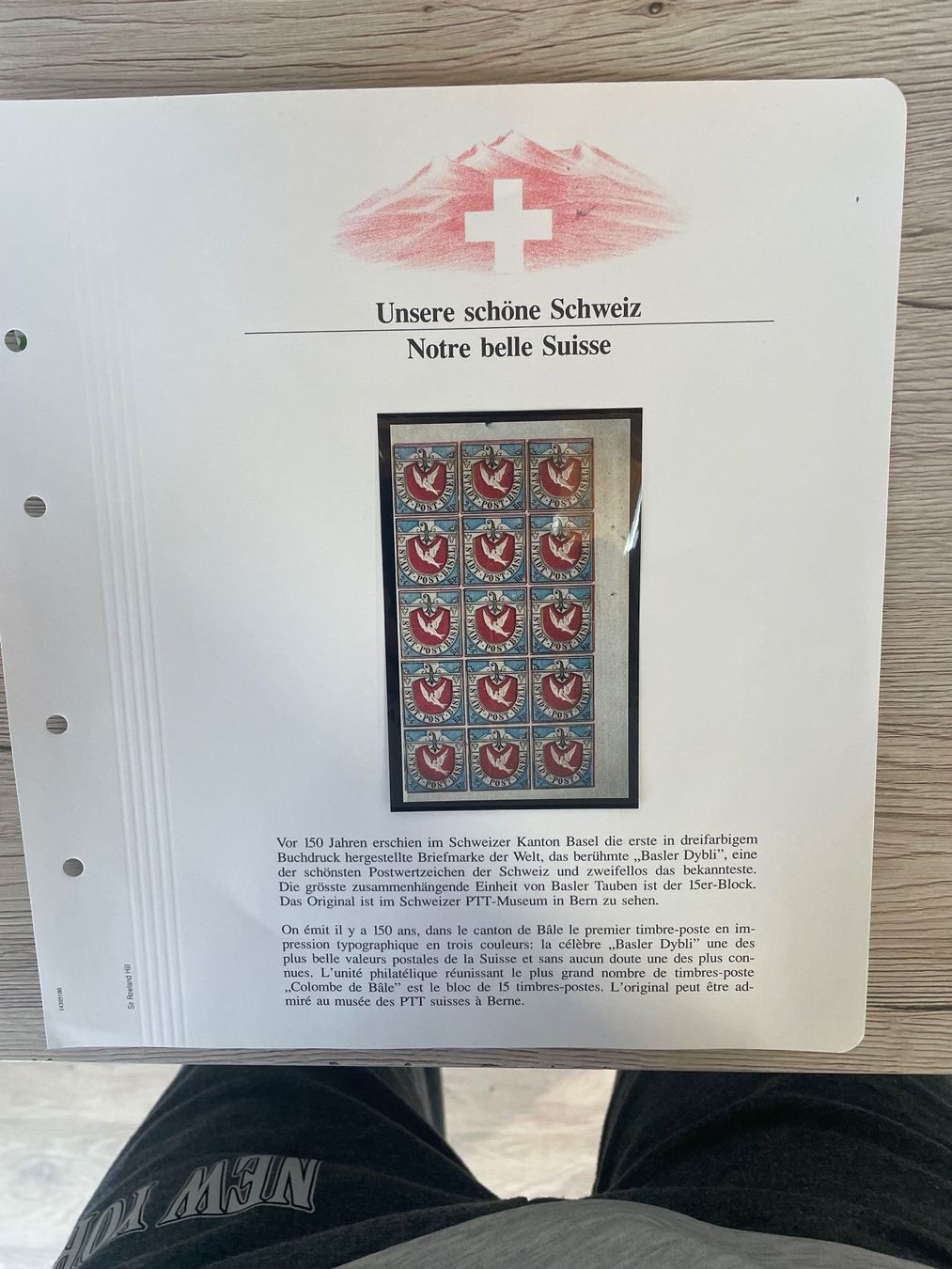 Tutti i francobolli: Gedenkblock Basler Taube – Nuovo (secondo la descrizione) da Obergösgen venduto da Rromi1 3