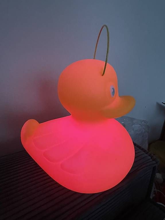 Lampade: Goodnight lights duck-duck  ente – Usato da Dübendorf venduto da rocki07 2