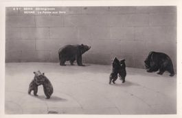 Alte Bärengraben Postkarte Bern