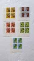 (478) «Zierpflanzen des Waldes»