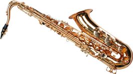 Tenor Saxophon mit Koffer, Mundstück, Blättchen Neu+OVP
