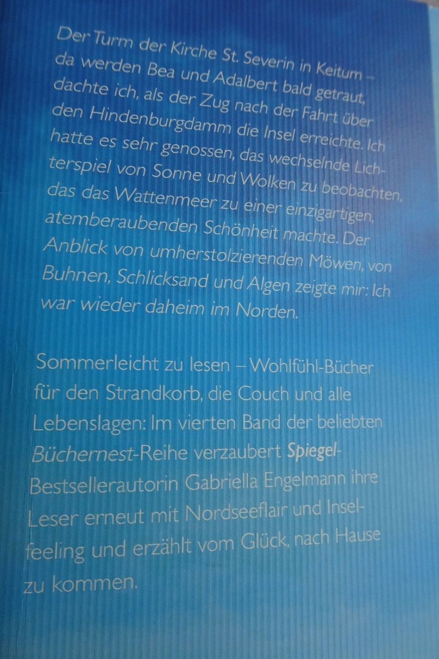 Libri: Roman STRANDKORB TRÄUME von Gabriella Engelmann – Usato da Strengelbach venduto da schmetterling20 3