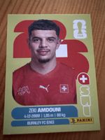Sticker Zeki Amdouni FIFA World Cup 2026 United Edition Pani