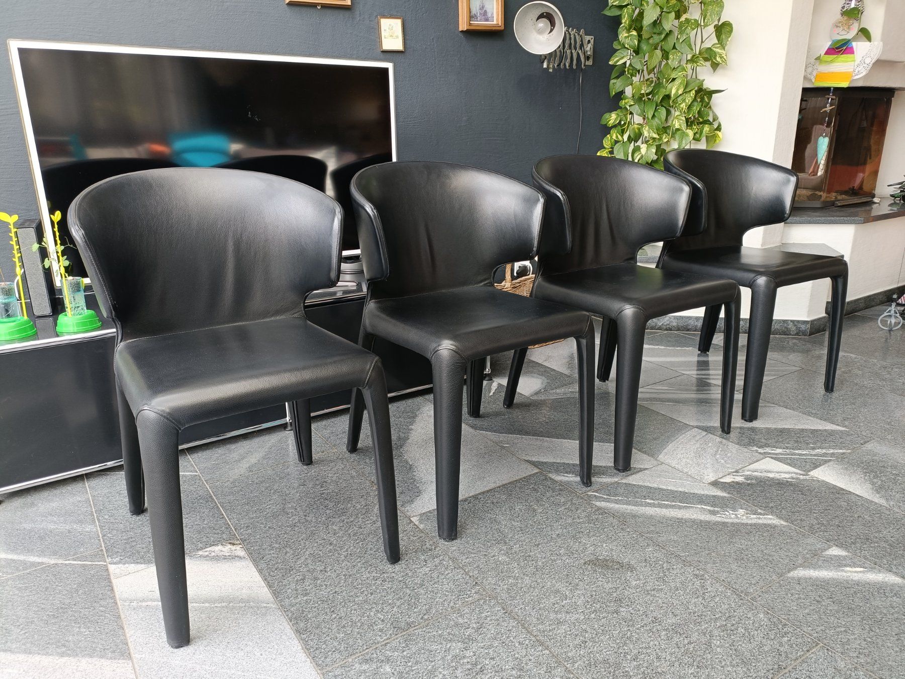 Cassina Sedie: Stühle Cassina Hola 367 / 4 Stück – Usato da Schmitten FR venduto da oldtimer82 2