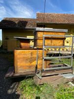Bienenkasten CH Maas mit Lift für rückenschonendes Imkern