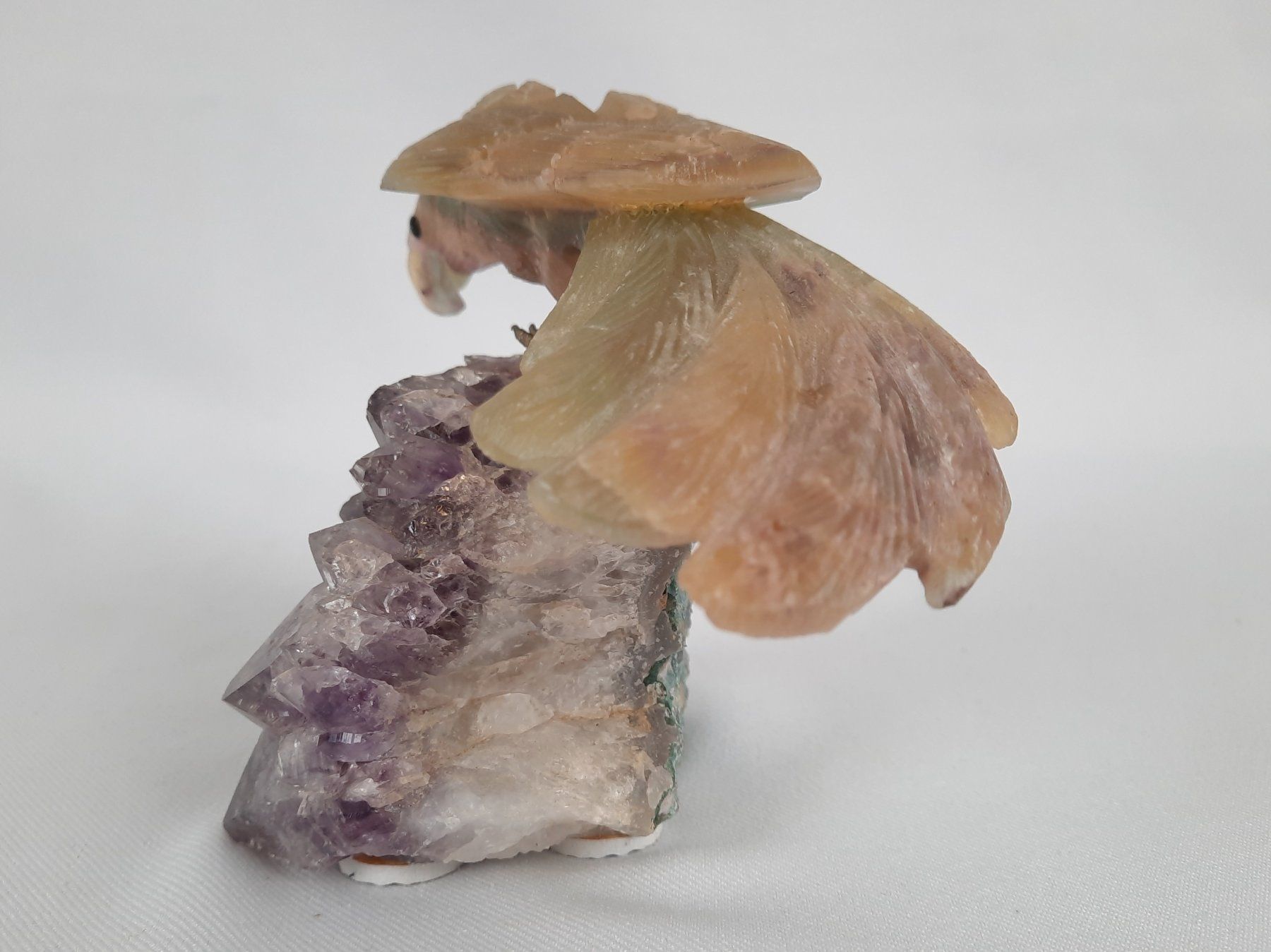 Minerali & Pietre curative: Steinvogel auf Amethyst – Usato da Beinwil am See venduto da Restwert_Beinwil 1