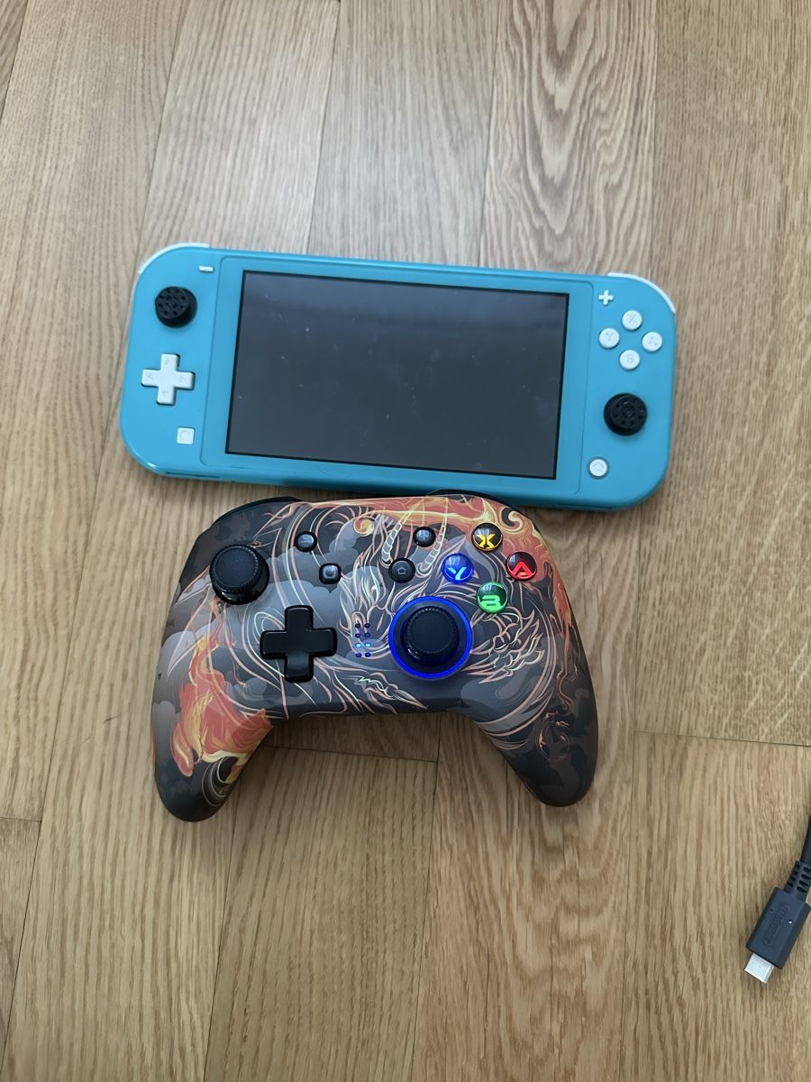 Nintendo Console: Nintendo Switch Lite – Usato da Affoltern am Albis venduto da blata81 3