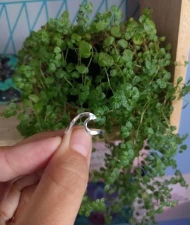 Ringe: Designer Wellen Ring – Neu und originalverpackt aus Winterthur von Neilpryde01 5