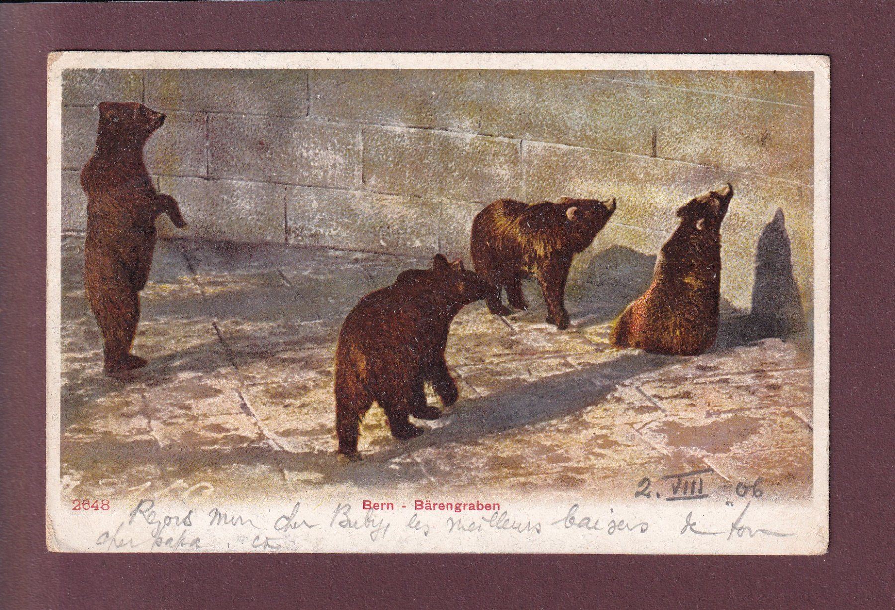 Cartoline postali: BERN - Bärengraben - 1906 – Usato da Pully venduto da nicecards