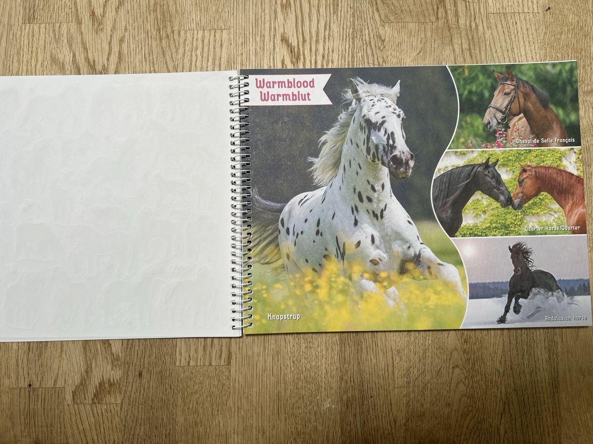 Libri: Stickerheft / Malheft Pferd – Nuovo (secondo la descrizione) da Lostorf venduto da Venice16 4