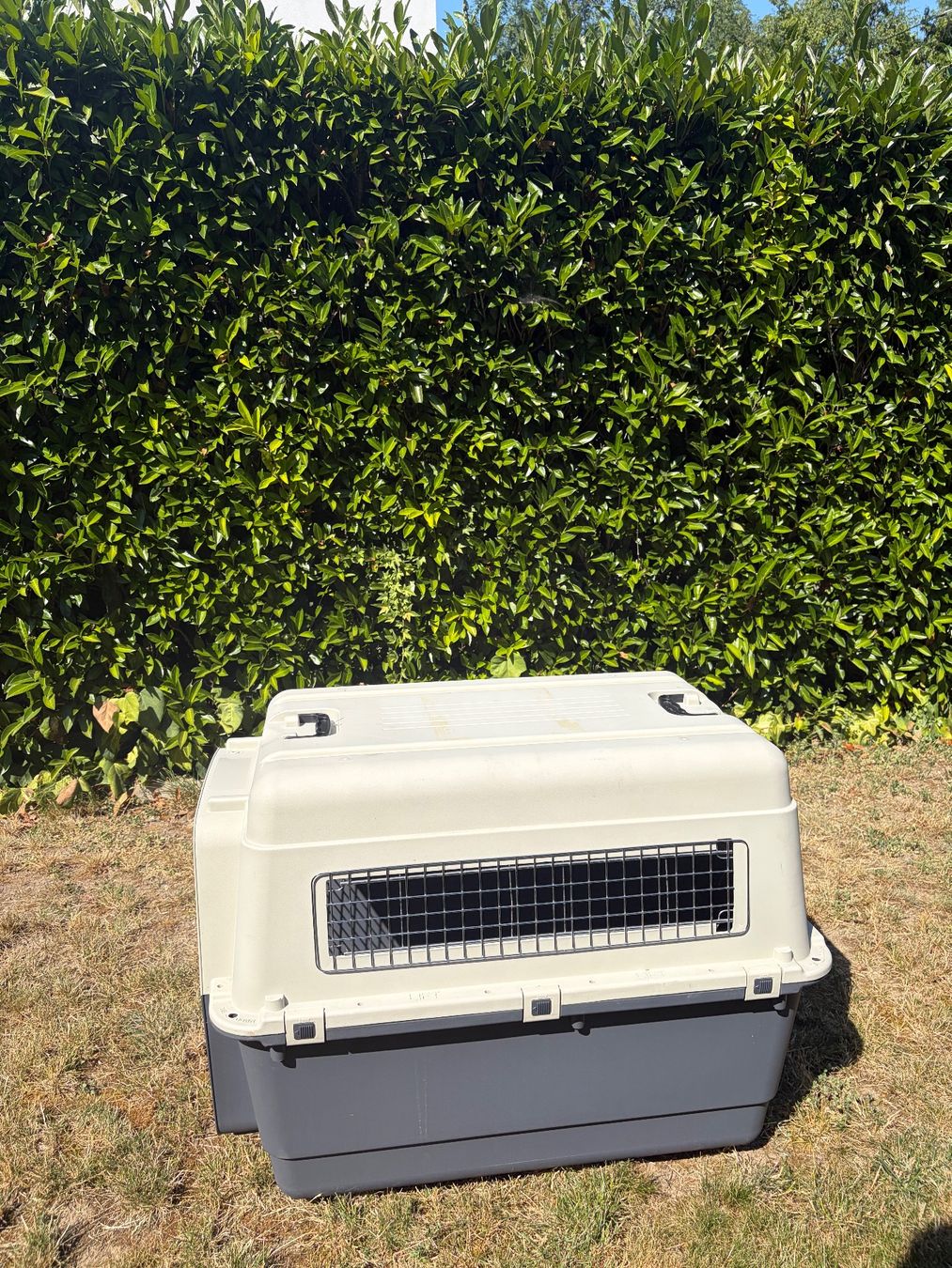 Gabbie, trasporto & Sicurezza: Karlie Hundetransportbox – Usato da Versoix venduto da Luca.uhl 2