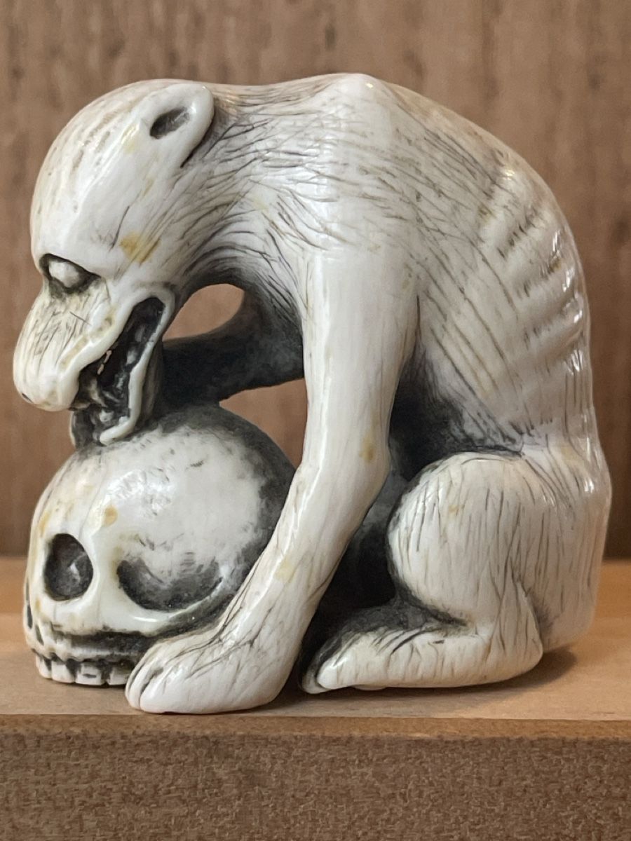 Statuette: Netsuke, sitzender Wolf oder Hund mit Schädel – Usato da Embrach venduto da Gauvain1 4