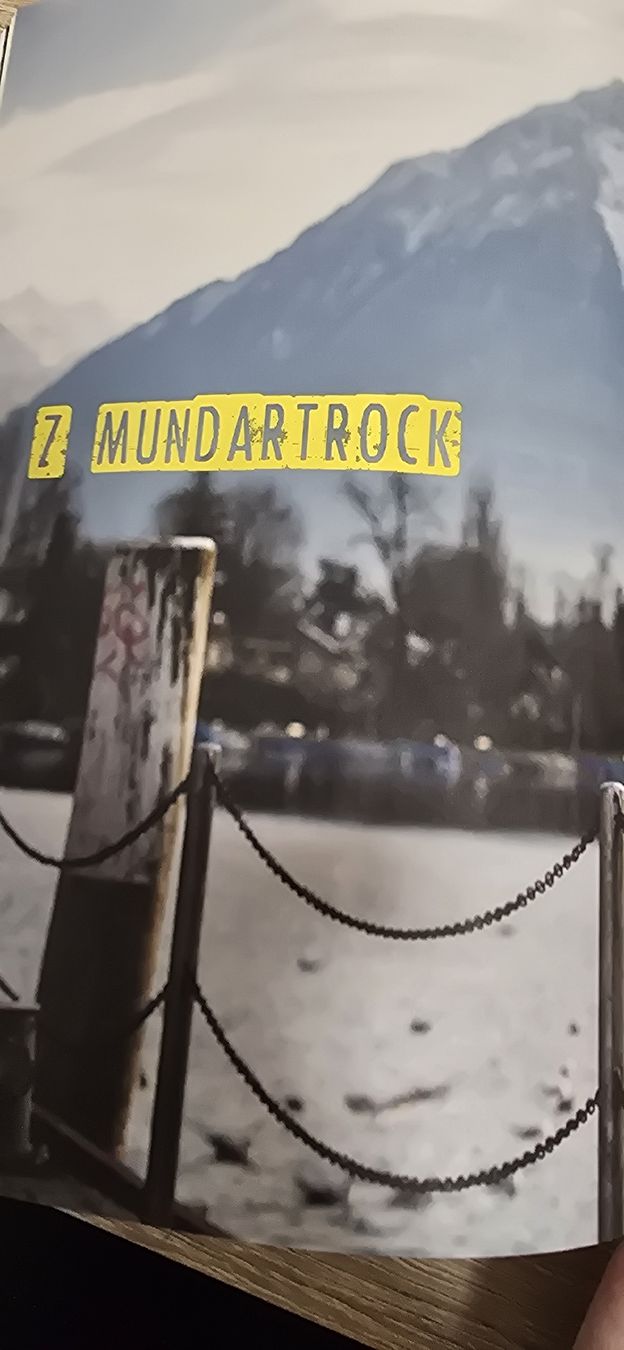 Libri: Schweizer Rock Pioniere – Usato da Ostermundigen venduto da Gisler 4