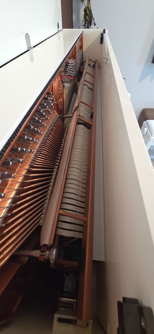 Feurich Strumenti musicali: Piano Feurich droit – Nuovo (secondo la descrizione) da Forel-Sur-Lucens venduto da guigui010 4