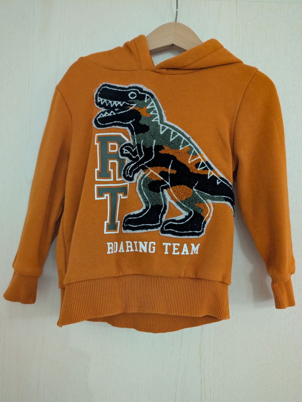 C&A Maglioni & Felpe: Pullover für Jungs mit Dino – Usato da Buchs ZH venduto da nudle10