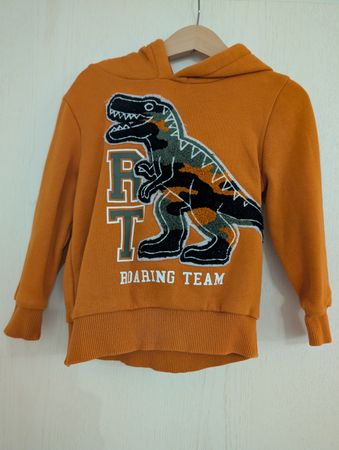 Pullover für Jungs mit Dino