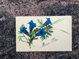 Ansichtskarte mit Enzian, Bonnes Fêtes, ungelaufen