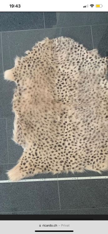 Felle 2 Stück Kaufen auf Ricardo