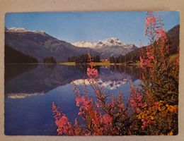 Am Champferersee St. Moritz 1961 Oberengadin