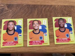 Panini WM 2026 3 Sticker Niederlande