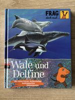 Sachbuch: Wale und Delfine