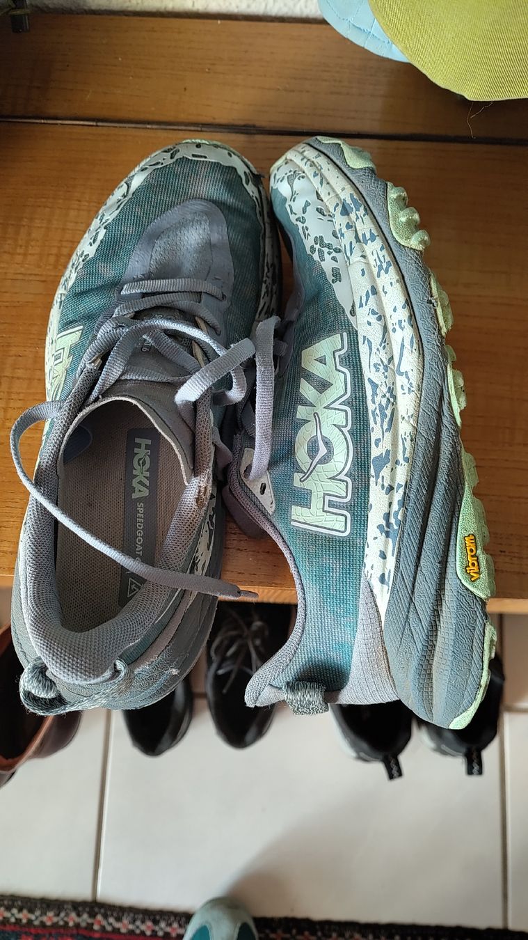 Scarpe da uomo: hoka speedgoat 6 grösse 38 – Usato da Stäfa venduto da mic_b7td 1