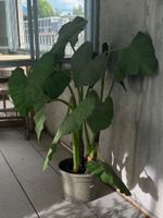 Künstlicher Bananenbaum