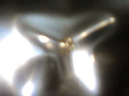 Edelsteine: ECHT DIAMANT,,GELB,,VVS1,,0.1 KARAT – Neu (gemäss Beschreibung) aus Basel von bijoutrie_4 5