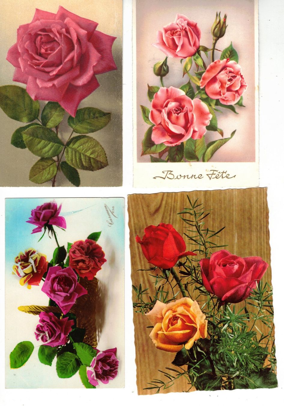 Cartoline postali: Rosen Blumen 11 Ansichtskarten – Usato da Widnau venduto da Seppl480 1